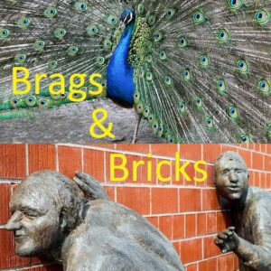 bags and bricks group logo