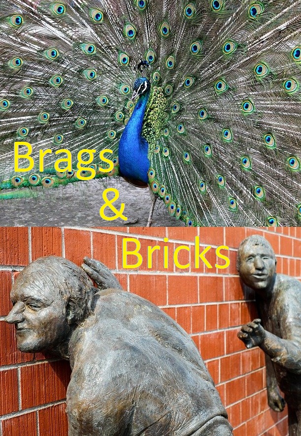 bags and bricks group logo