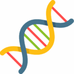 DNA helix design