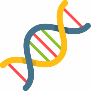 DNA helix design